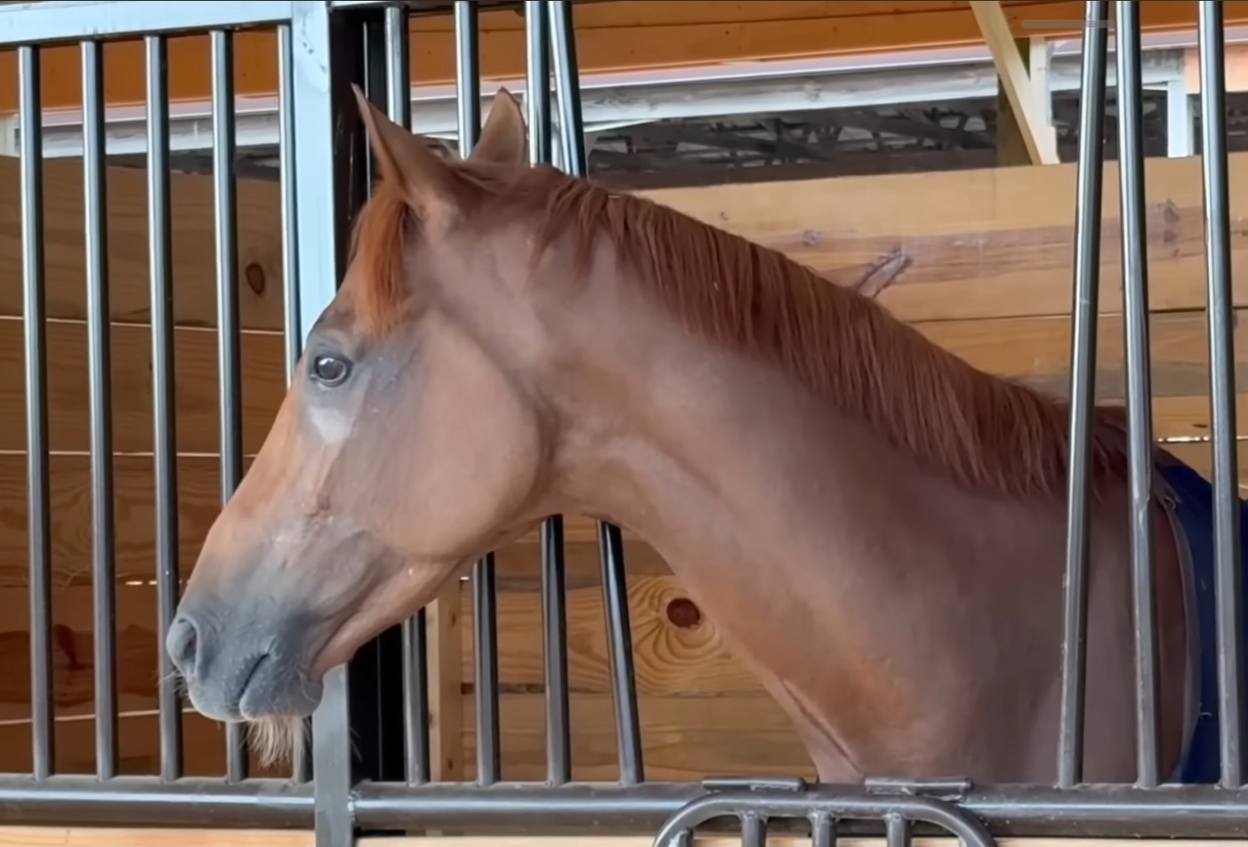 Screenshot_20251015_103212_YouTube