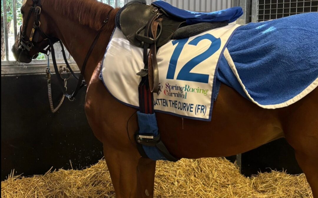 DEN CUP IMMER FEST IM BLICK