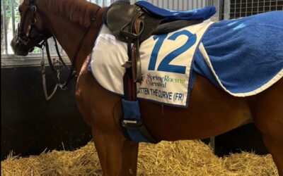 DEN CUP IMMER FEST IM BLICK