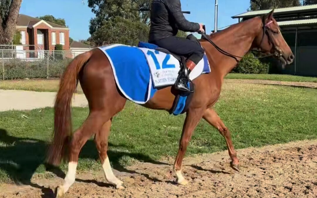 NUR NOCH EINE HÜRDE