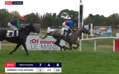 DIESMAL SCHON DRITTER