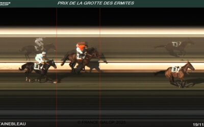 EX GREWE MIT RIESENPECH