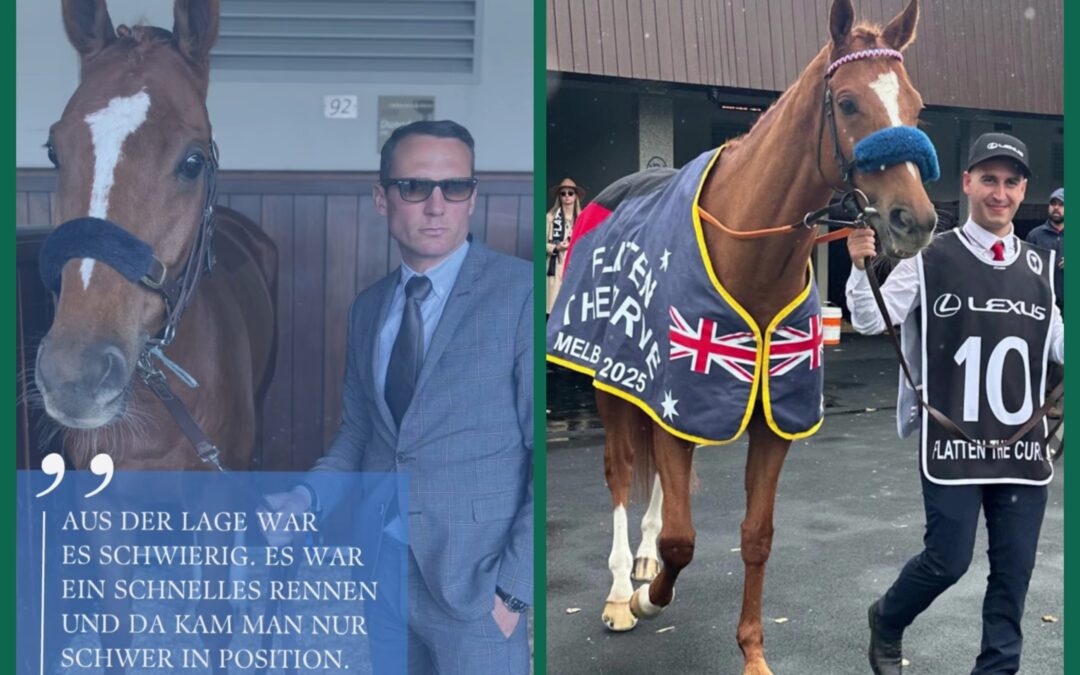 NACH DEM CUP IST VOR DEM CUP