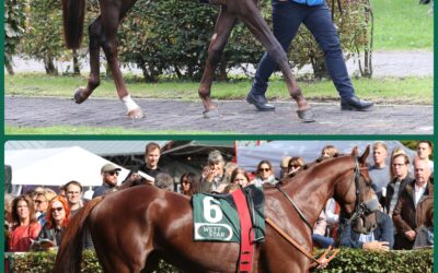 DUETT IM “RATIBOR”