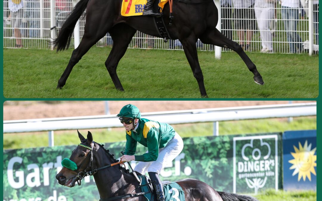 ZWEI STARTER IN NANCY