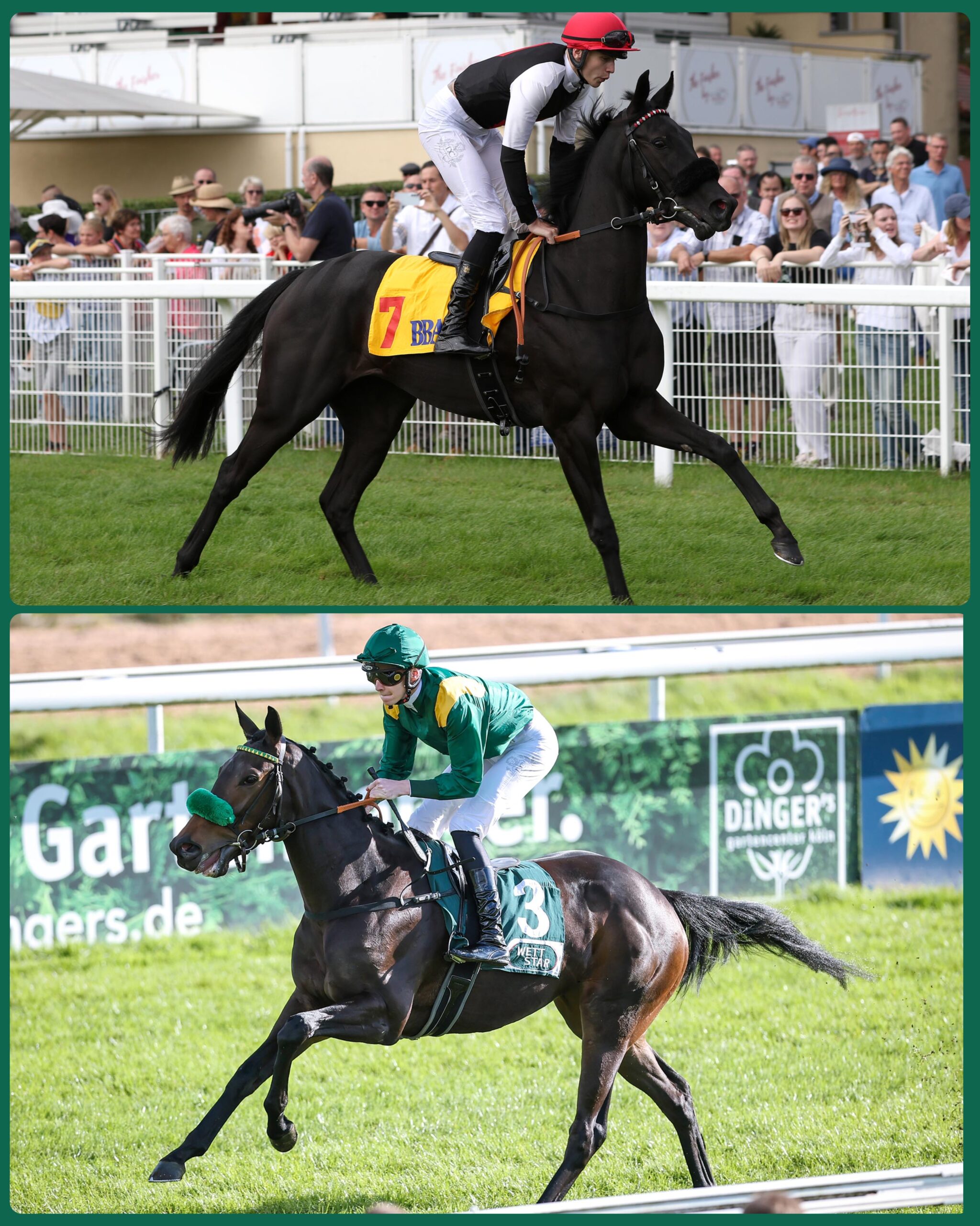 GridArt_20251114_114255111