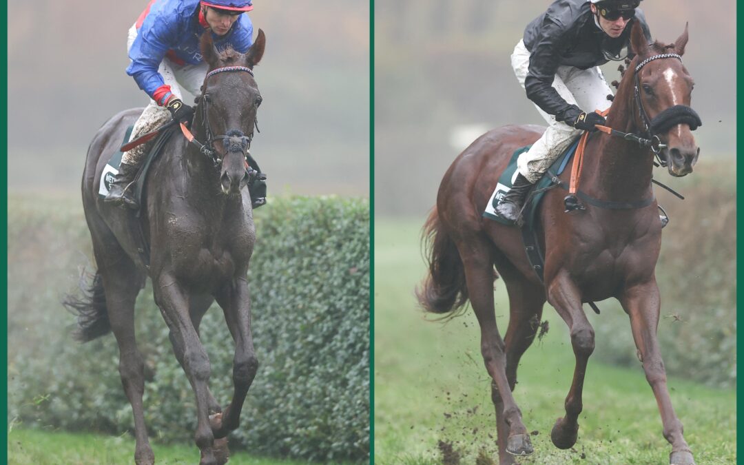 NEUE EINSCHÄTZUNGEN DA