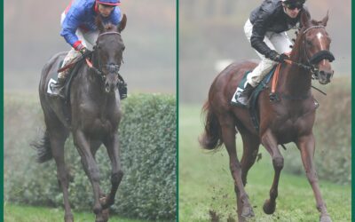 NEUE EINSCHÄTZUNGEN DA