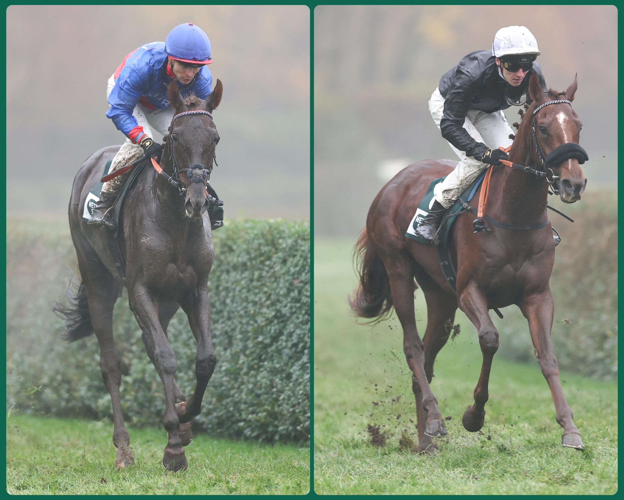 GridArt_20251117_160414096