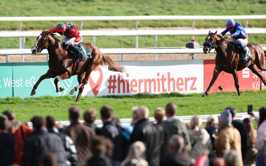 VERSPRECHENDES DEBUT