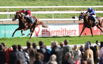 VERSPRECHENDES DEBUT