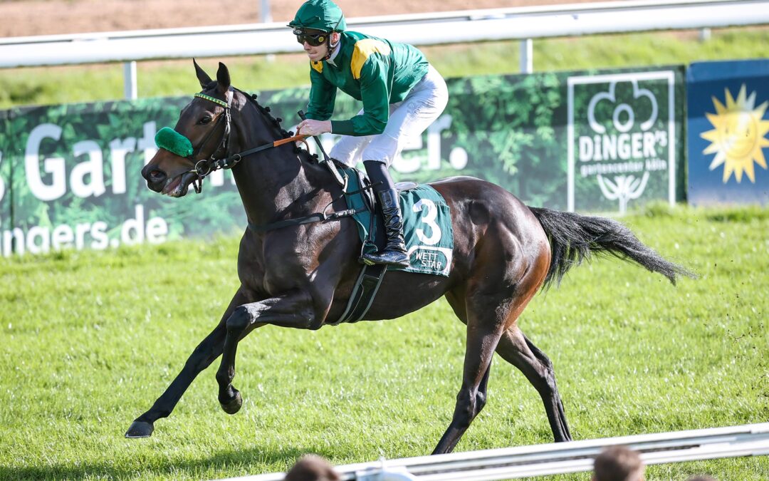 WEITER AUF SIEG WARTEN