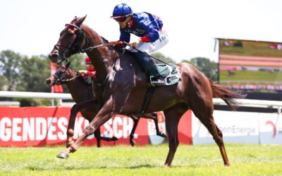 GUTE CHANCE IN DRESDEN