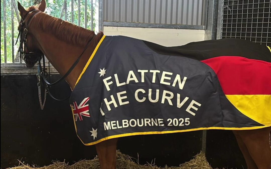 WAS SAGEN DIE AUSTRALIER