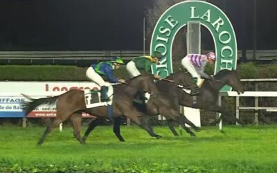 DIESMAL AUF PLATZ VIER