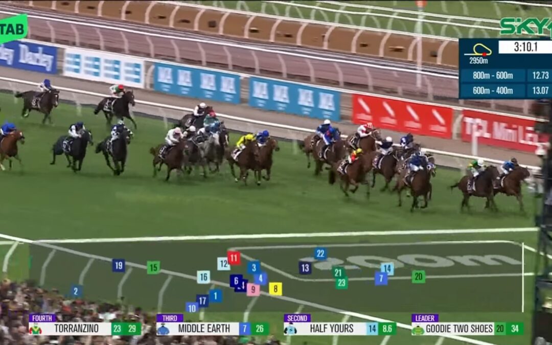 IN DER GOLDENEN MITTE