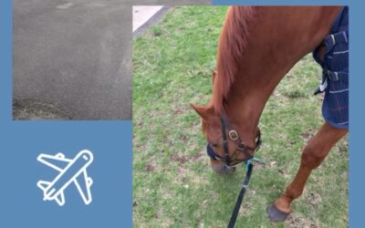 AUF DEM RÜCKWEG NACH KÖLN