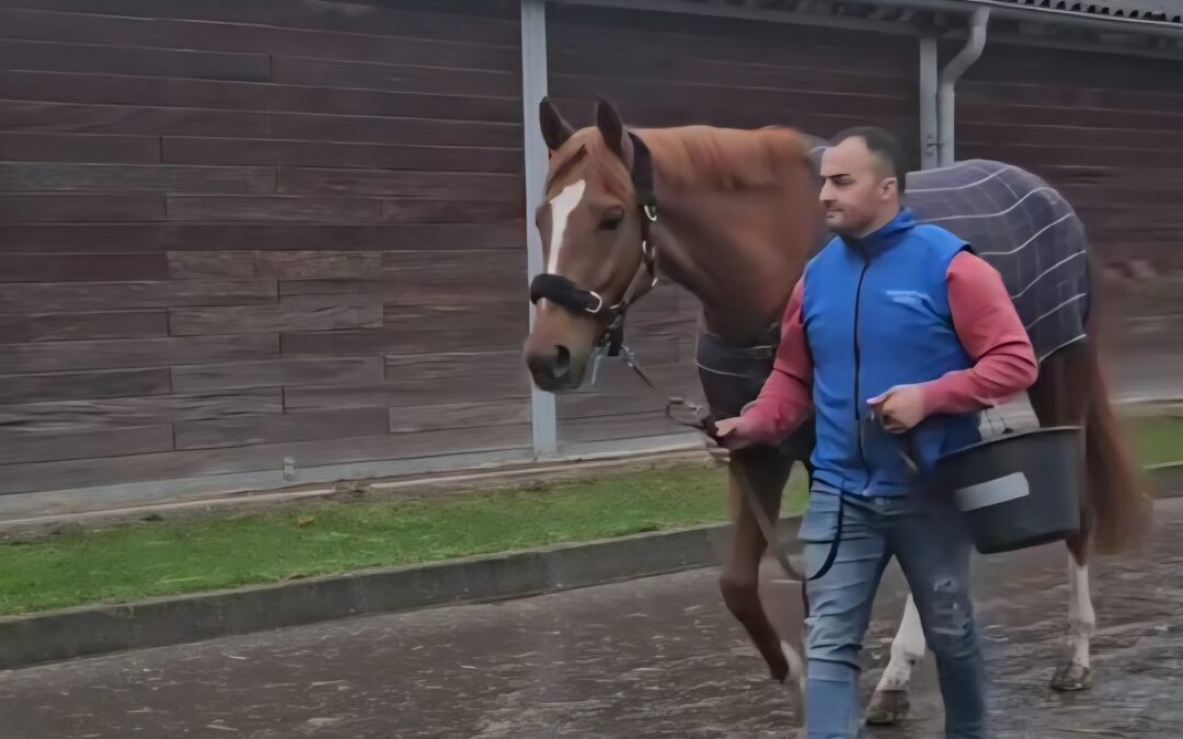 WOHLBEHALTEN ZURÜCK