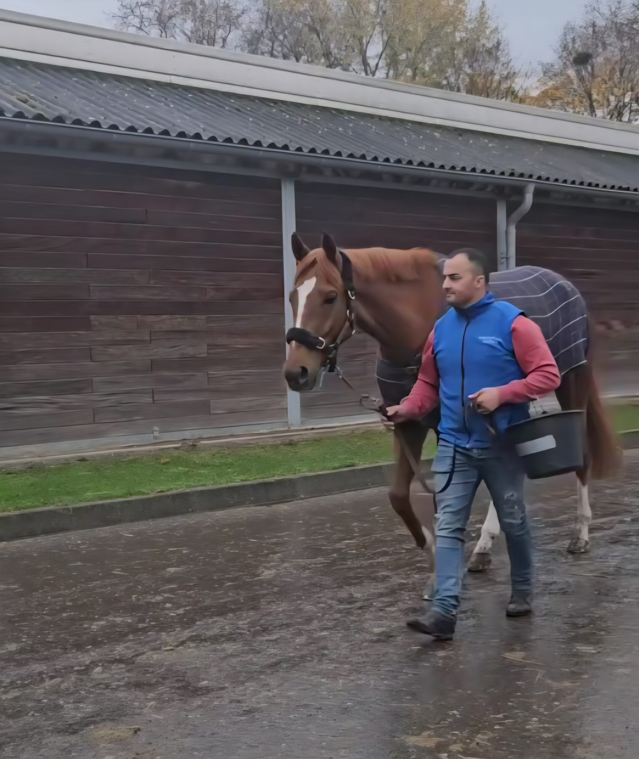 Screenshot_20251116_094239_Facebook