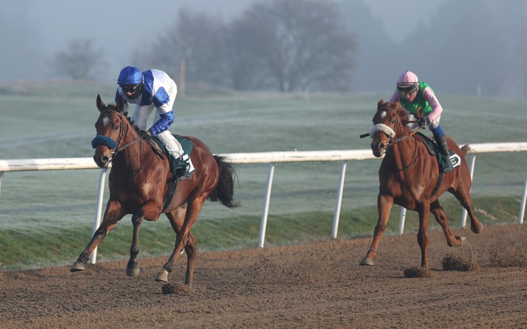 TITEL MIT EINLAUF VEREDELT