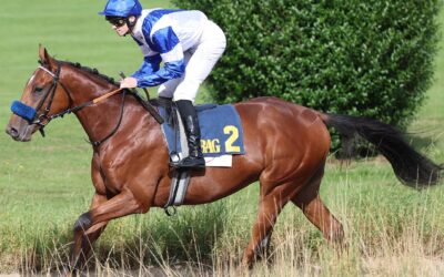 ASKER UND WOLFF DIE KÖNiGSMACHER ?