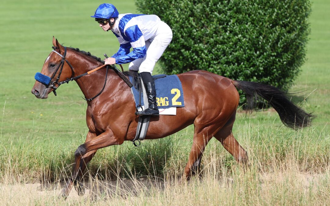 EIN STARTER IN DRESDEN