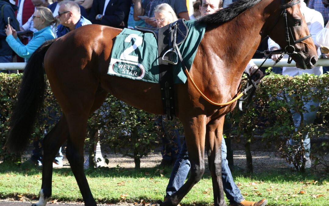 WEITER AUF SIEG WARTEN