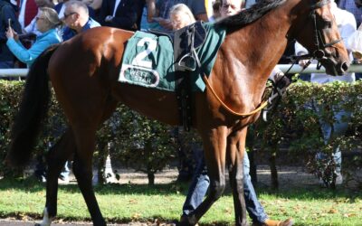 WEITER AUF SIEG WARTEN