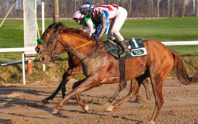 GANZ SPÄT ABGEFANGEN