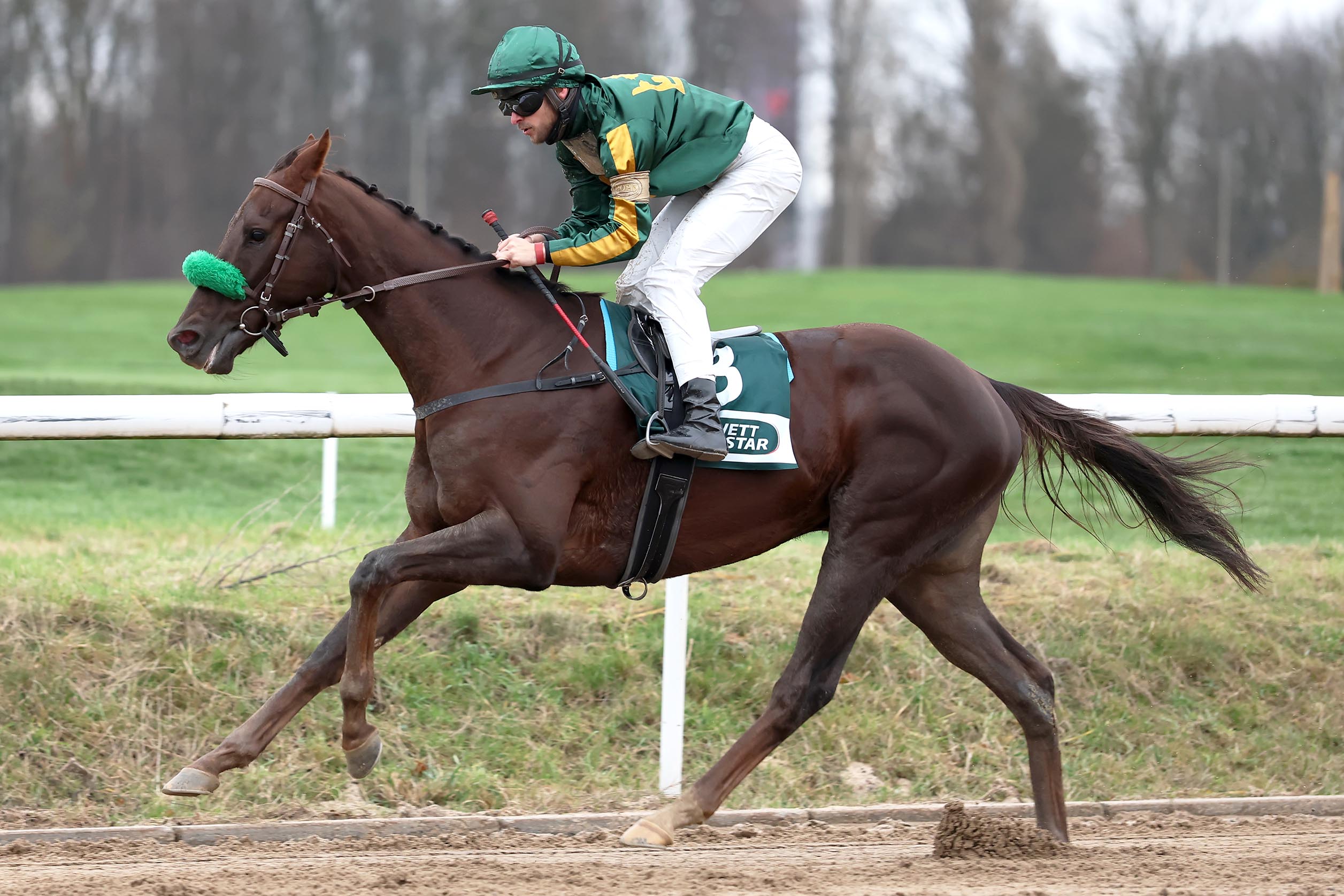 Quick And Wild siegt unter Thore Hammer-Hansen