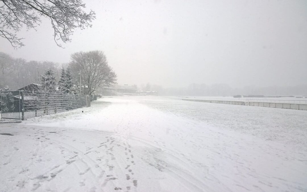 EIN KLEINER BLICK ZURÜCK IN WEISS