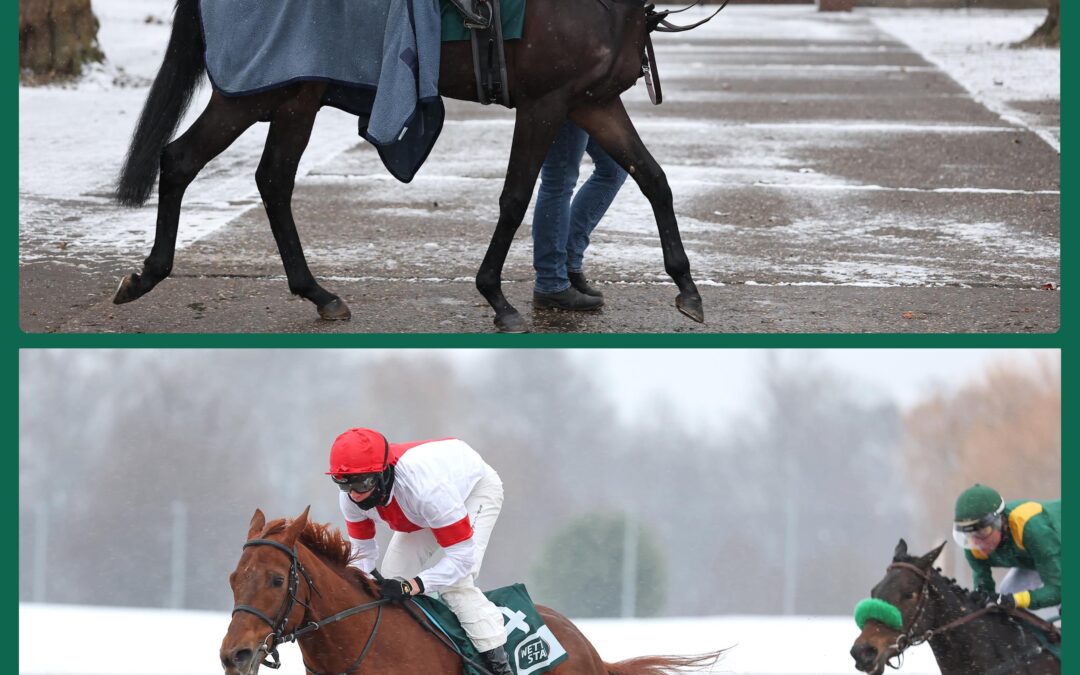 SAME PROCEDURE AS LAST YEAR