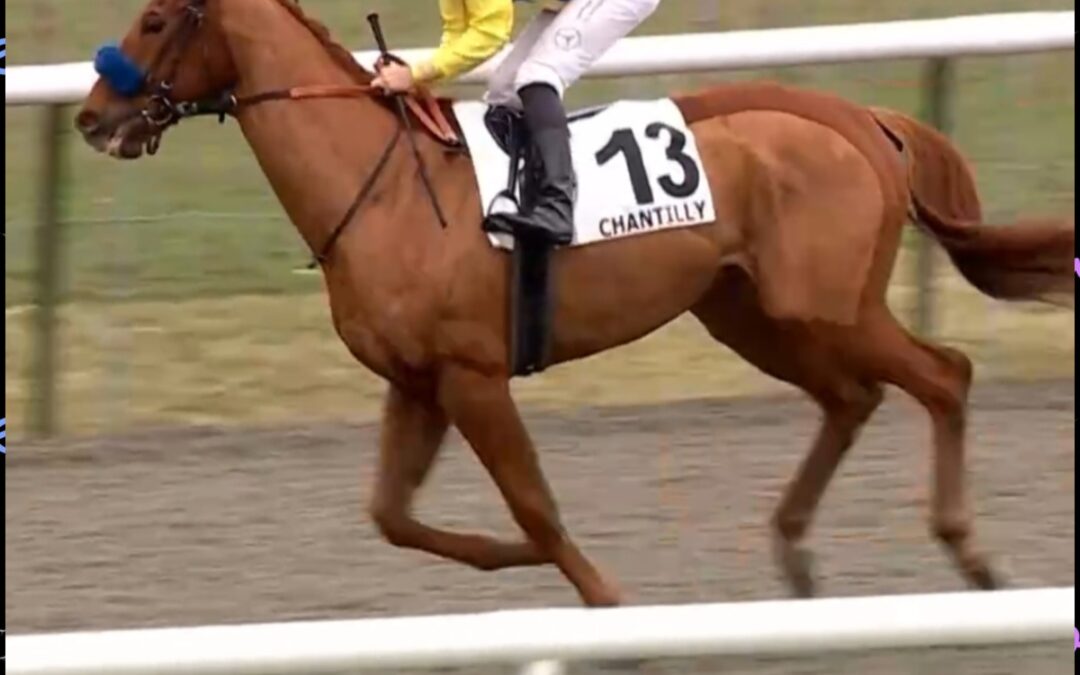 UNGLÜCKLICH NACH PAUSE