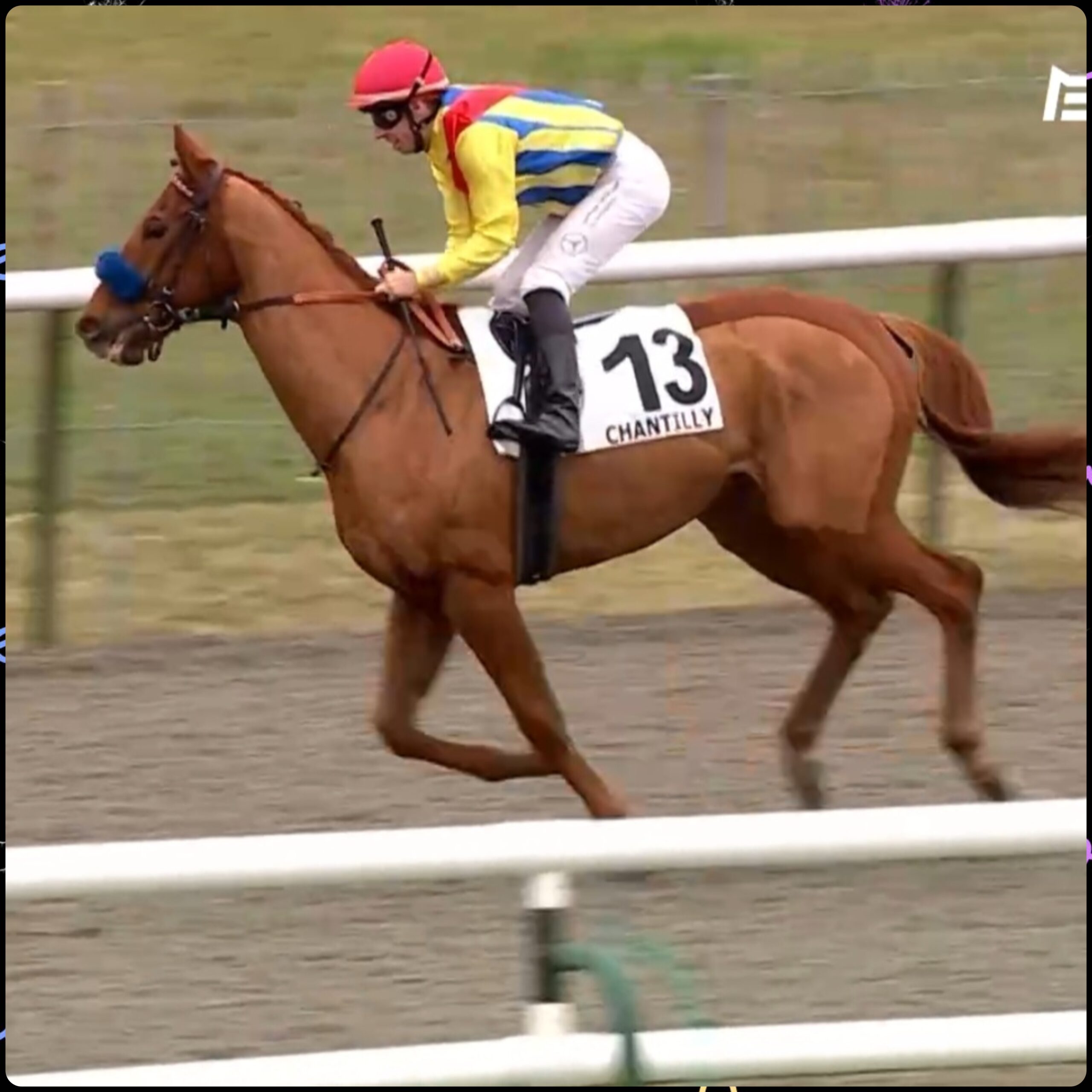 GridArt_20260131_180003031