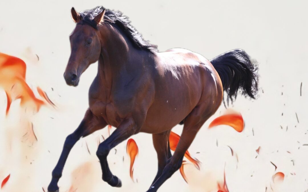 🔥 2026: Das Jahr des Feuer-Pferdes