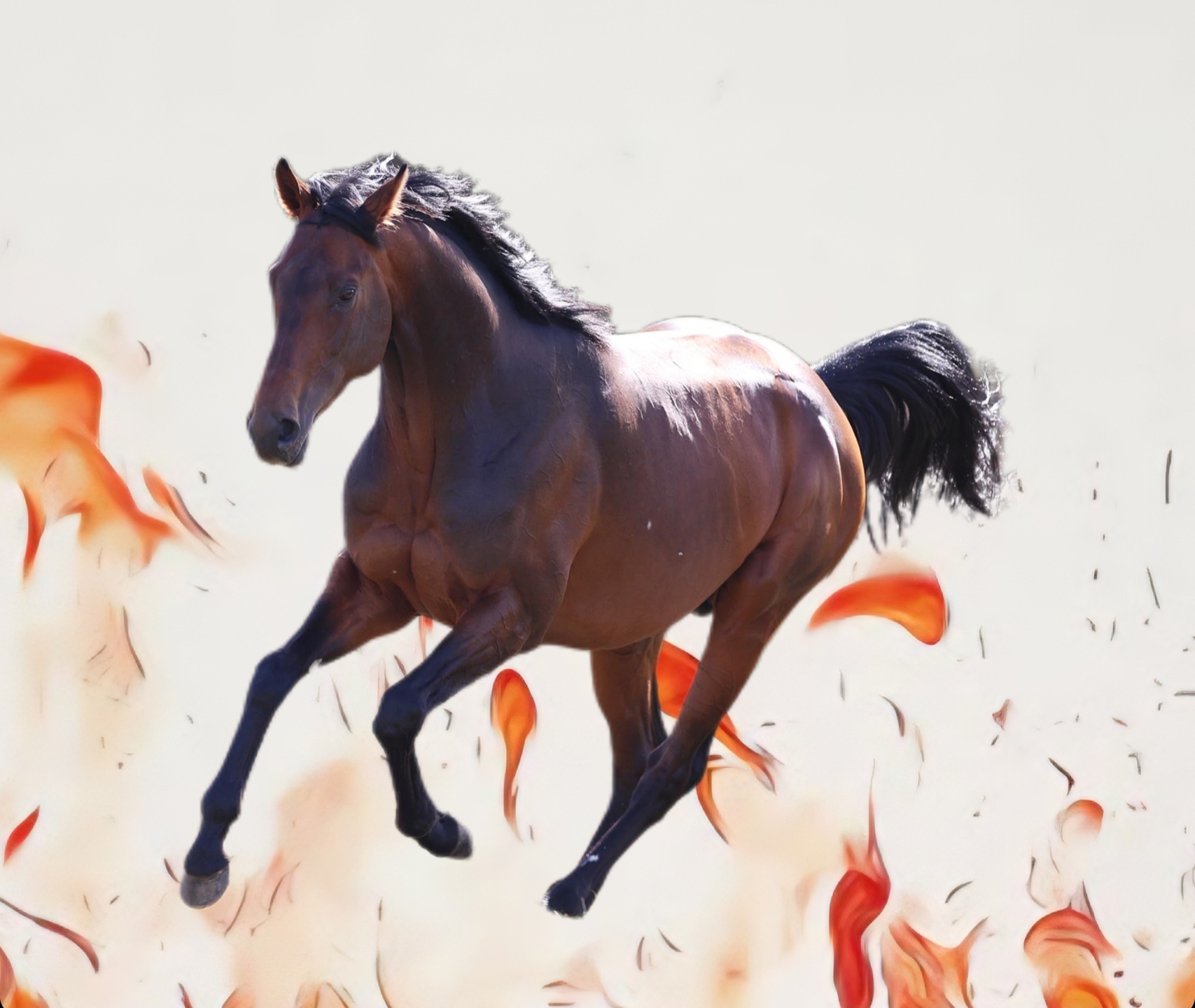 Screenshot_20260101_024354_Collage Maker – GridArt