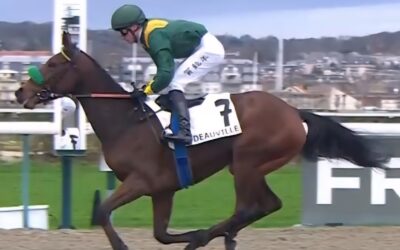 ZURÜCK AUF DIE SIEGBAHN