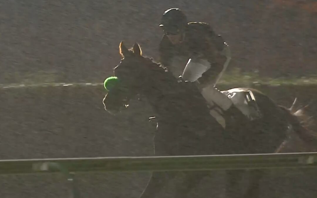 MEHRFACHES “HAPPY END”