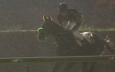 MEHRFACHES “HAPPY END”