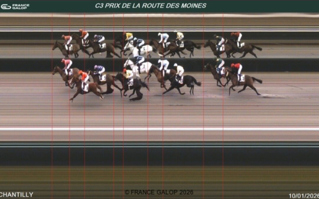 DIESMAL OHNE HÖHEREN GANG