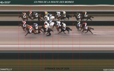 DIESMAL OHNE HÖHEREN GANG