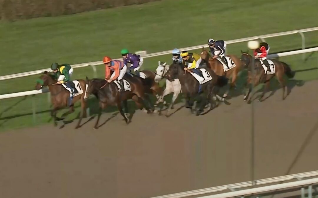 EINE ERFOLGLOSE REISE