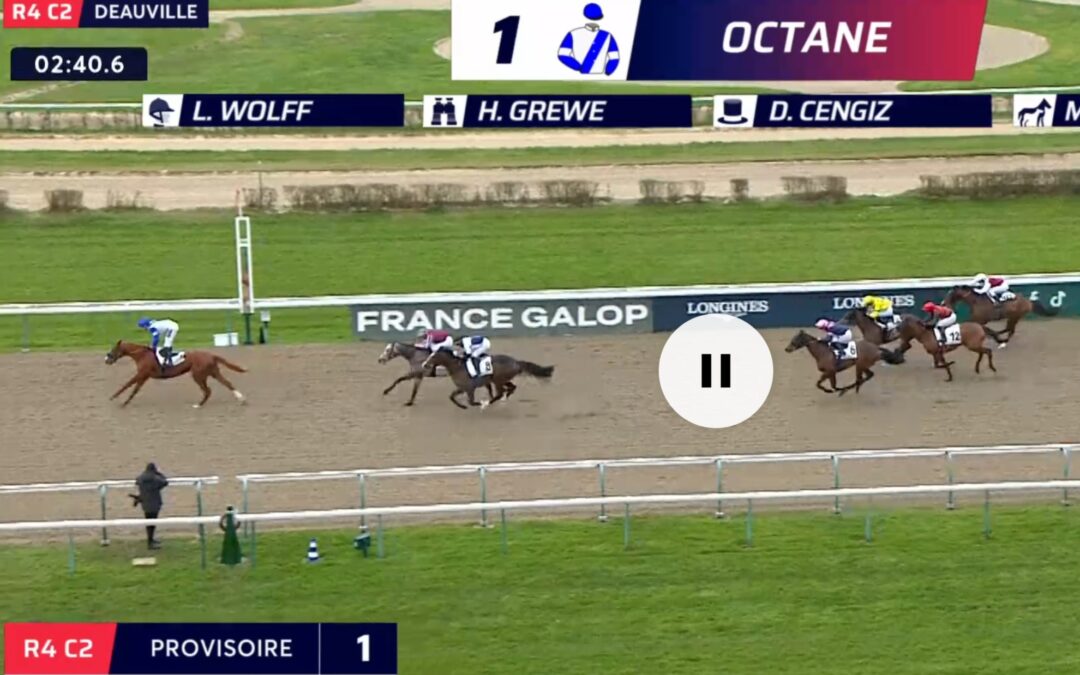 GLÜCKLICHES HÄNDCHEN