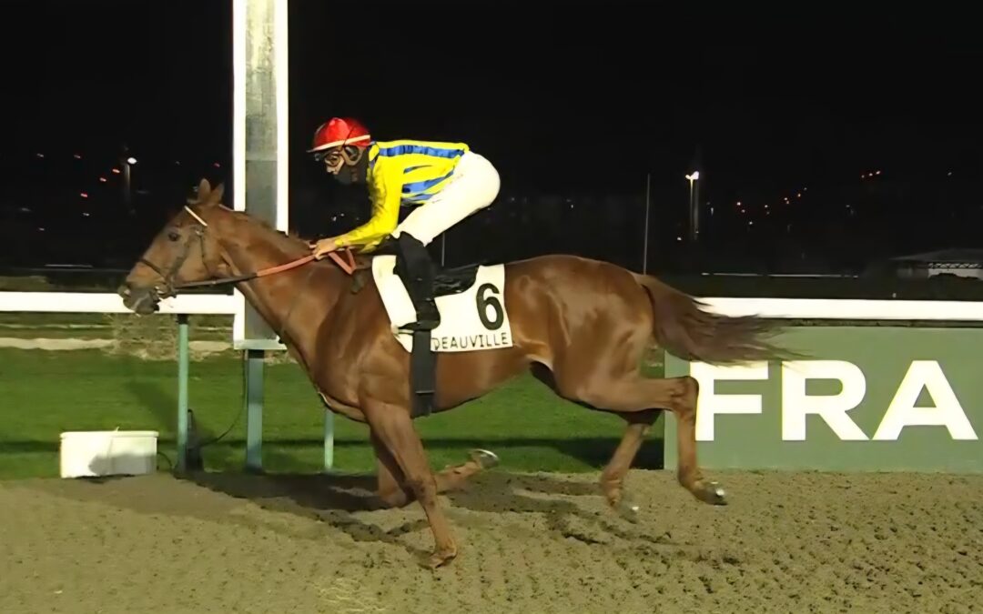 “DEBUT” AUF WEITEM WEG