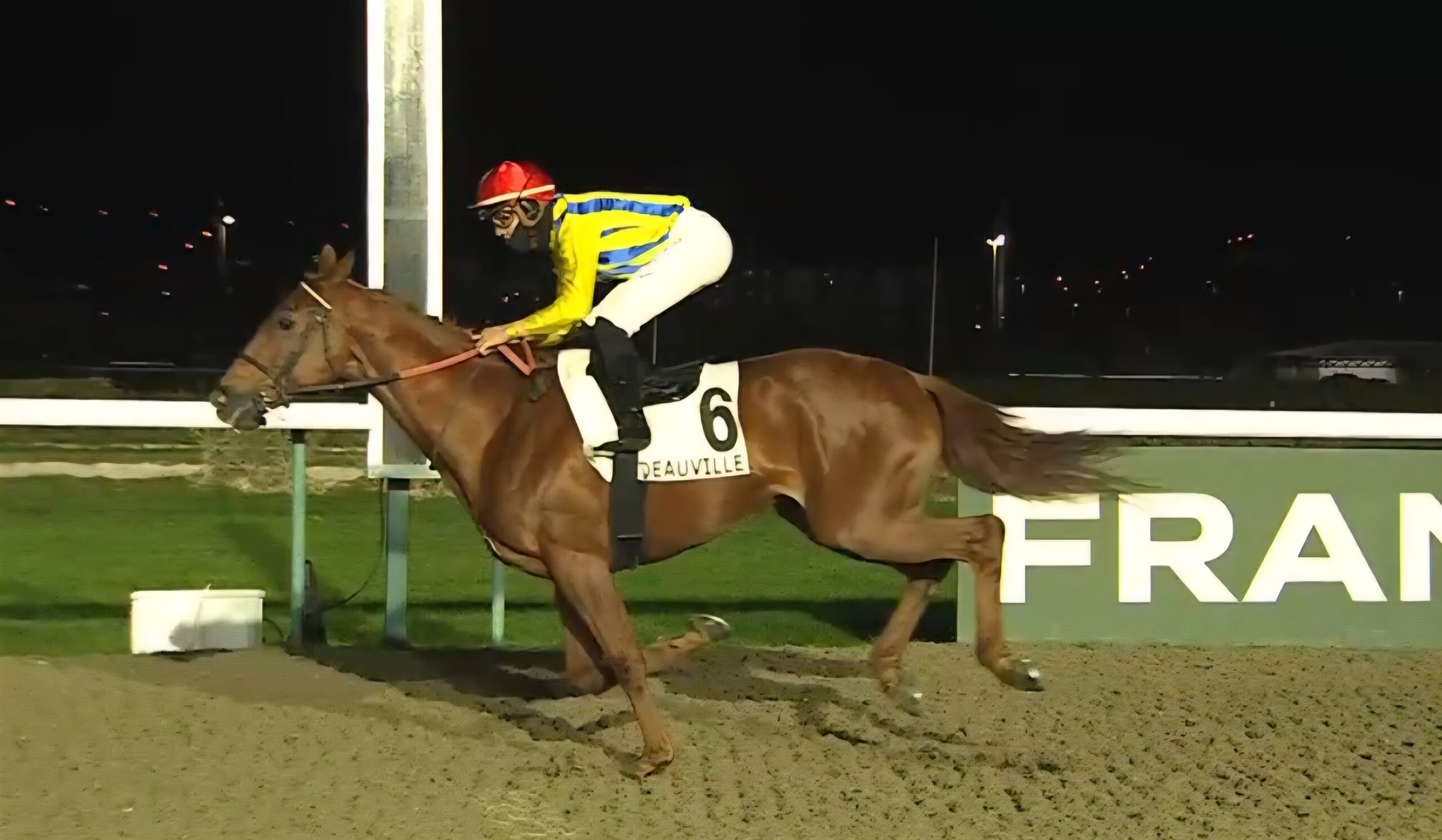 Screenshot_20260131_082432_Samsung Internet