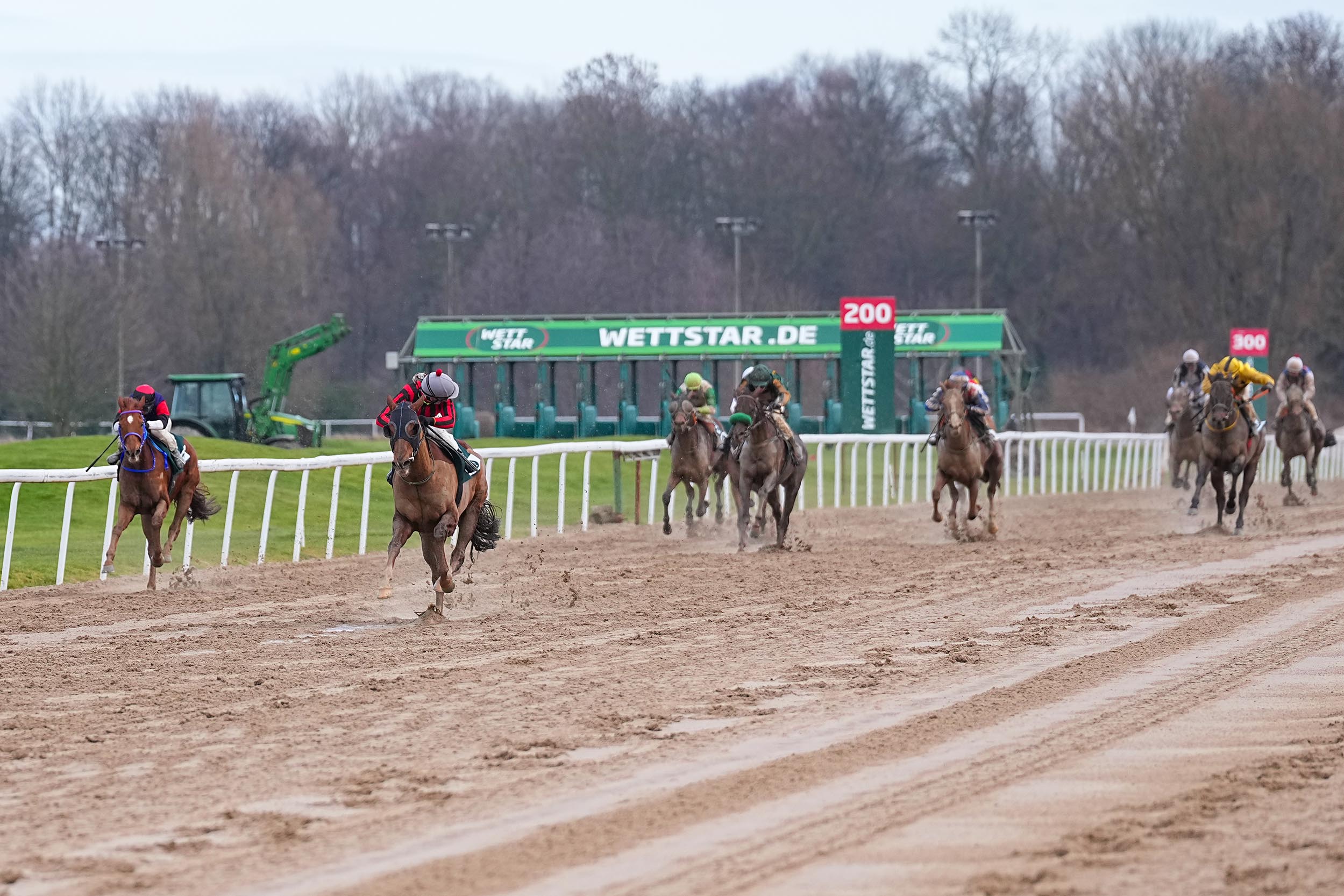 Mr Pablo siegt unter Michal Abik