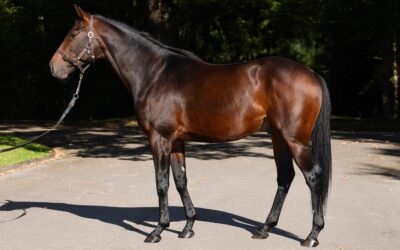 ASSISTENT MIT VATERFREUDEN