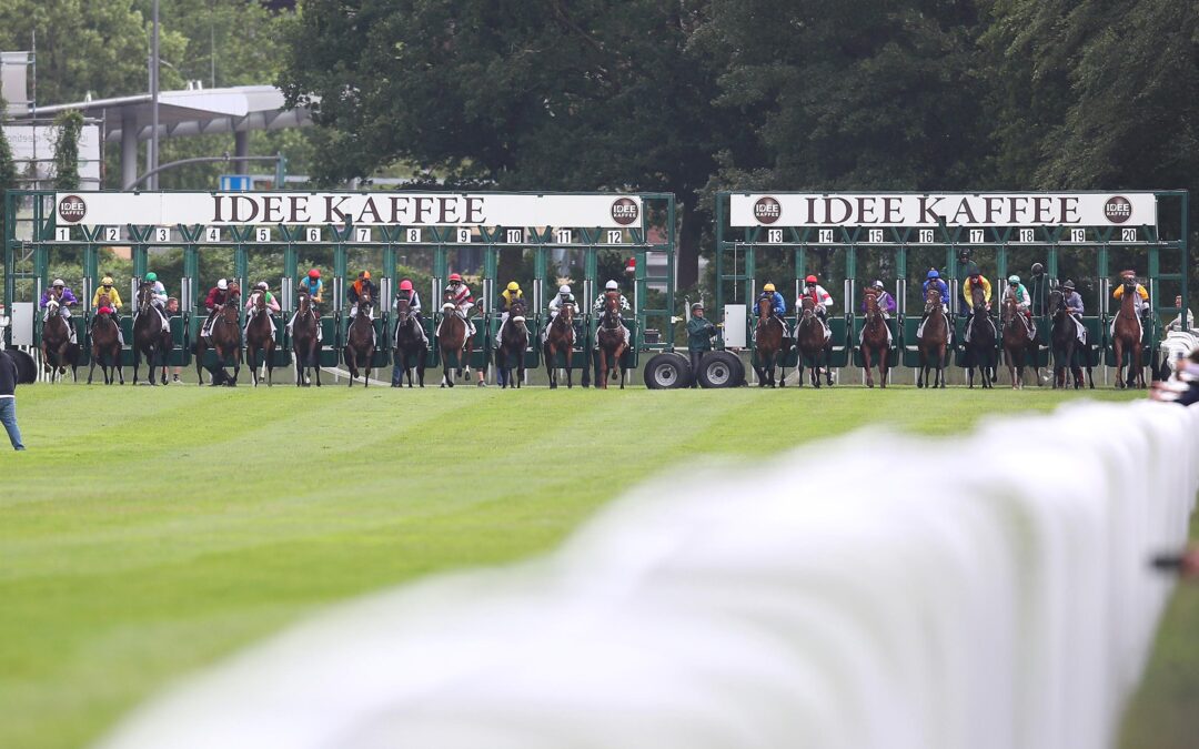 VIER RAUS – NOCH ZWÖLF DRIN