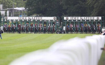 VIER RAUS – NOCH ZWÖLF DRIN