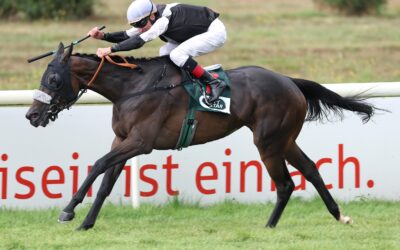 EIN ABGANG – ZWEI NEUE